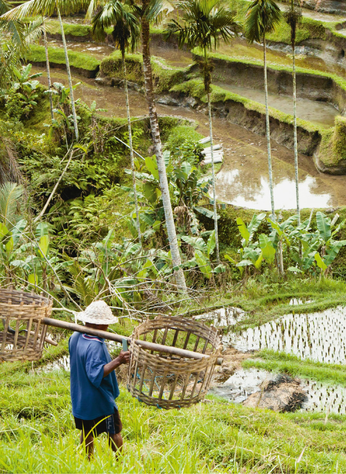 Climate Diplomacy Editorialdesign Fotografie