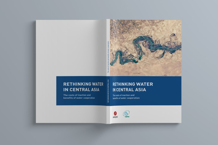 Adelphi Carec Rethinking Water Editorial Design Cover Typografie