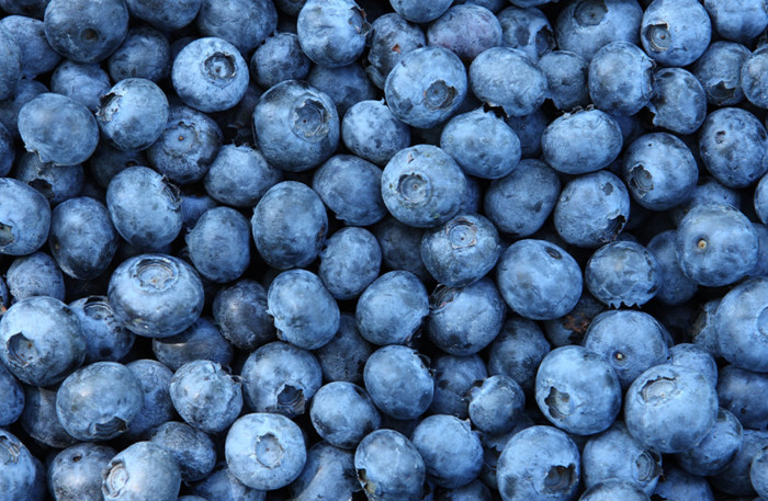 BlueYonder Corporatedesign Fotografie